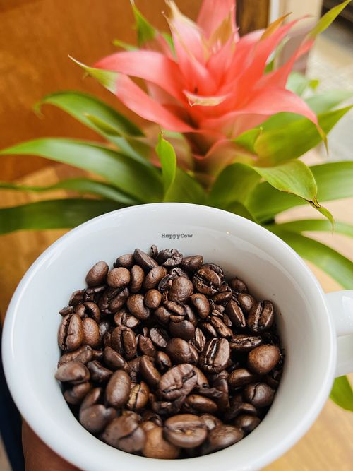   at Molokini in Gothenburg