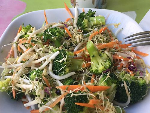 Green Guru salad at Dream House in Sofia