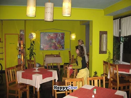 Inside Dream House at Dream House in Sofia