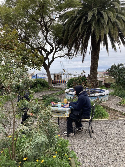 Lovely garden   at Veggie Beer House in Valparaiso