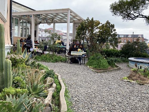 The garden  at Veggie Beer House in Valparaiso