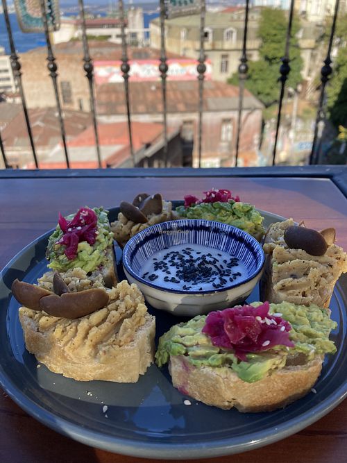 Hummus and avocado appetizer   at Veggie Beer House in Valparaiso