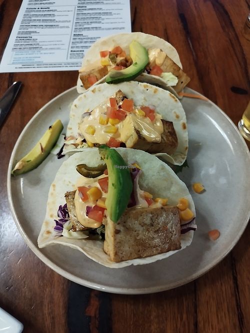Amazing tofu tacos at Paddys Eat & Drink in Kalgoorlie