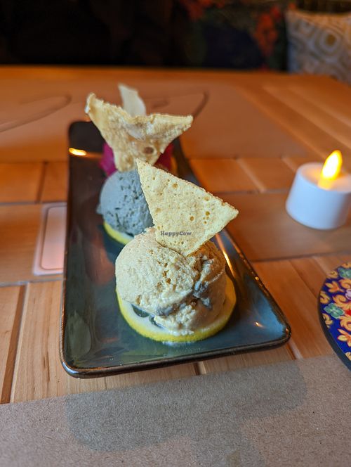 Trio of Hummus at LEVEL - Vegan & Gluten Free in Antalya