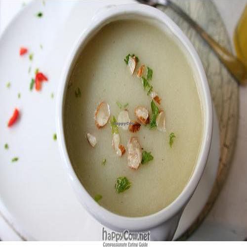  at V.O.P. - Very Organic People in Santiago