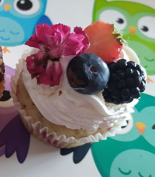 Vegan cupcake with berries at Baking Bees in Castelfranco Veneto