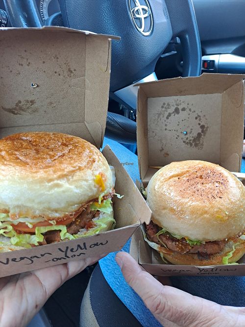 V2 Burger with Habanero and American Mustard with a side of crispy fries. The patty was thick and delicious, the toasted bun was nice with the greens, tomatoes and pickles. at Burger Bones in Busselton