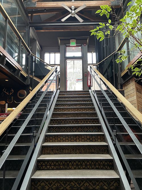   at Wood Ear in Telluride