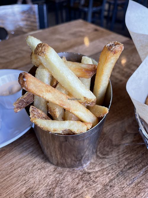 Regular fries (although I asked for Moroccan seasoning )  at The Wild Hare in Stillwater