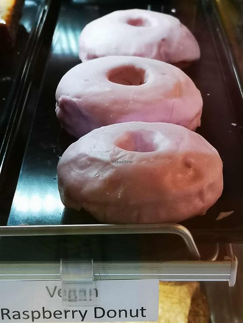  at Paper Cup in South Fremantle