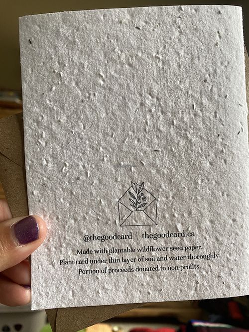 @thegoodcard - always make sure wildflowers are native to wherever you are planting to ensure we aren’t introducing invasive species to places they don’t belong in. 💕🫶 at Ethikli in Long Beach