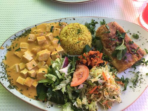 Mixed plate with two dishes and sides (rice and salad) at Oasis Vegetariano - Marques de Sa da Bandeira in Lisbon