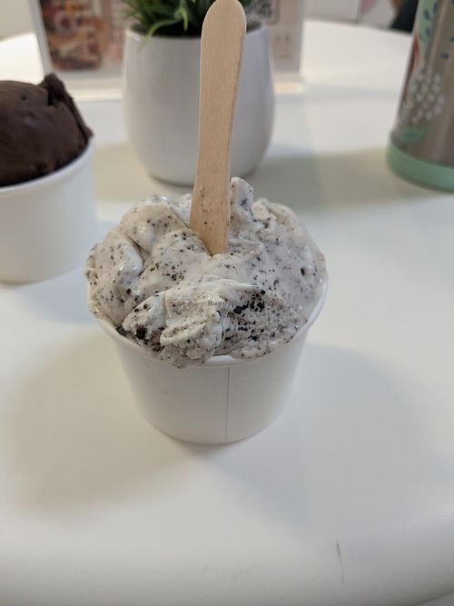 Cookies and cream ice cream at Origamy Gelato in Sunrise