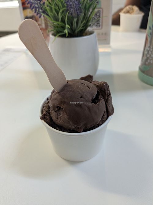 Reese's Ice cream at Origamy Gelato in Sunrise