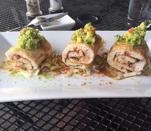 Utta Pan at Plant in Asheville