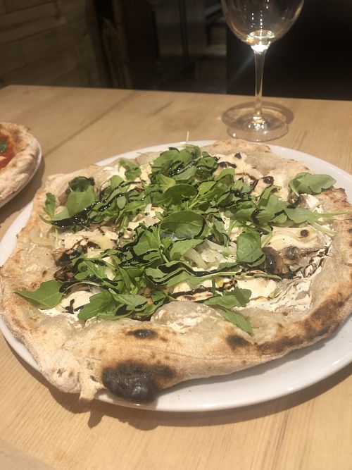 Marshall   at Mitoa Pizzeria in Barcelona