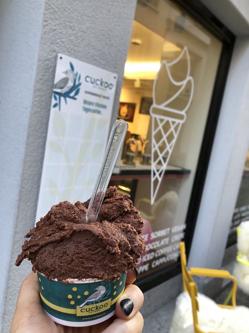 Small portion vegan chocolate   at Cuckoo Ice Cream in Luzern