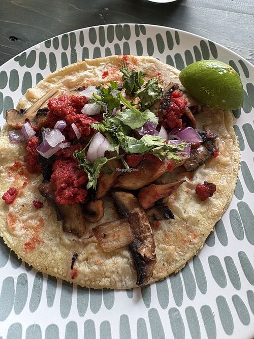 Taco chorizo y champiñones   at Mandragora Vegan in Mexico City