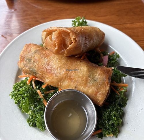   at ALULU Brewery and Pub in Chicago