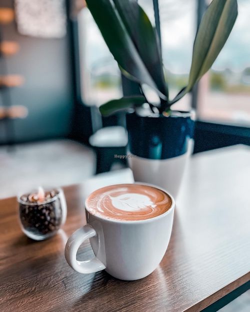   at Stock Brew in Daytona Beach