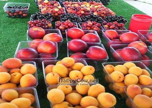  at Fruit Dock in Traverse City