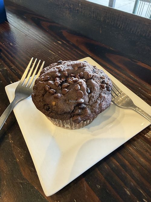 Chocolate muffin  at Tributary Coffee Roasters in Gunnison