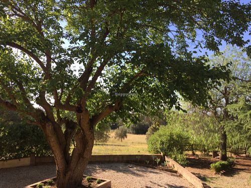 Another view from the terrace at Rosa dei Venti in Caltagirone