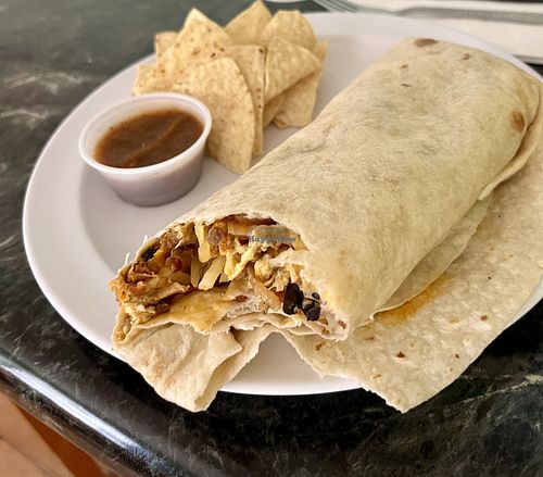 Vegan breakfast burrito, great quality and size for the price $12.75  at Olive Cafe in San Diego