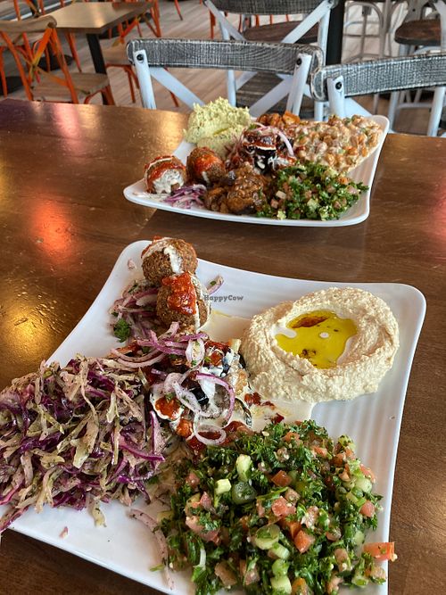   at Levant in Cedar Park