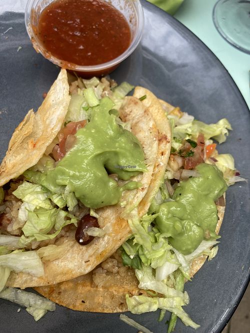 Veggie tacos!   at Sabor in Brandon