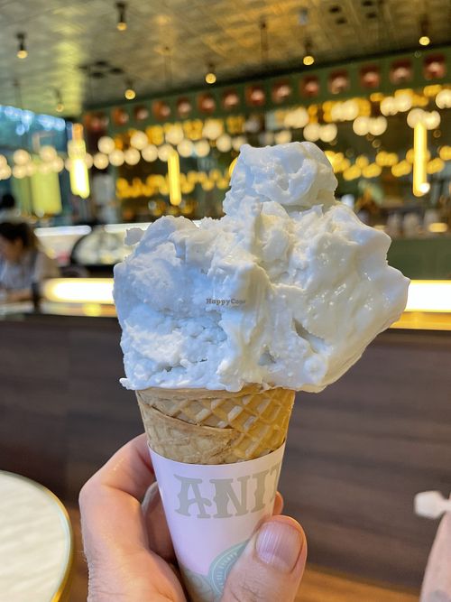 Coconut ice cream   at Anita Gelato in West End