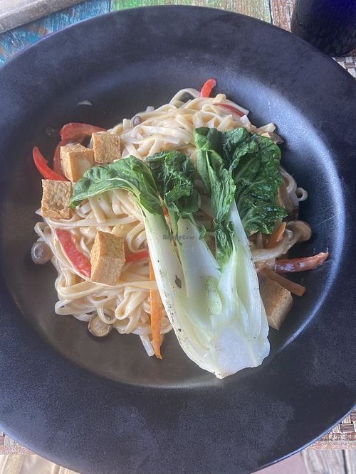 Vegan udon & tofu !  at Sea Breeze in Noord