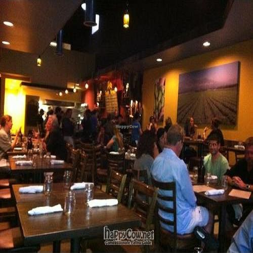  at Local Habit in San Diego