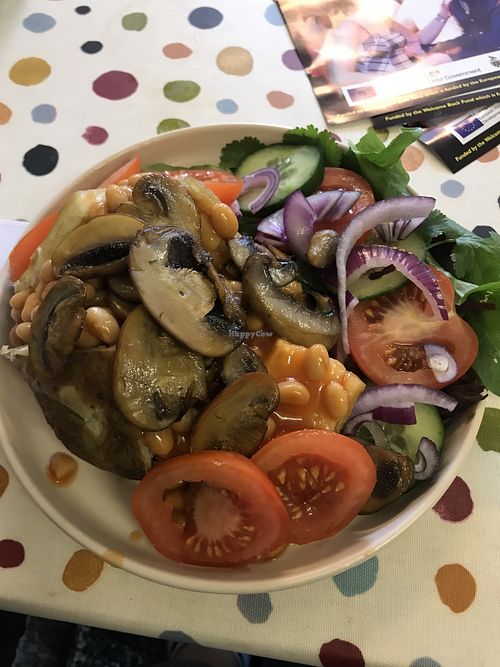 Lovely vegan jacket!  at The Odd Spot Cafe in Liskeard