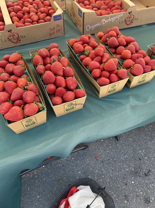 Fully Organic Strawberry + Berry Stand from SLO  at San Leandro Farmers' Market in San Leandro