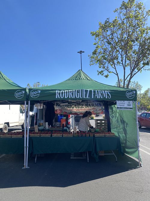 100% Organic Berry Farm Spotted 👀  at San Leandro Farmers' Market in San Leandro