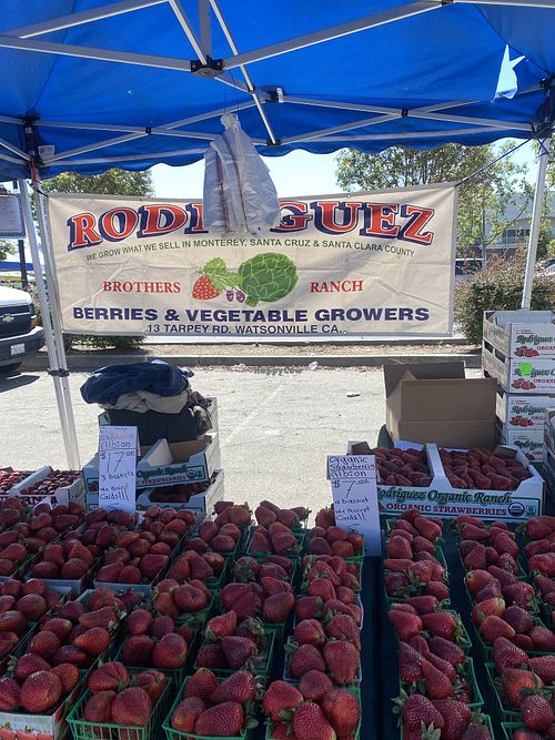 Organic Strawberries 🍓 Are Everything! 😛  at San Leandro Farmers' Market in San Leandro