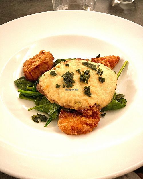 Chicken (vegan) saltimbocca  at Salt + Seed in Long Branch