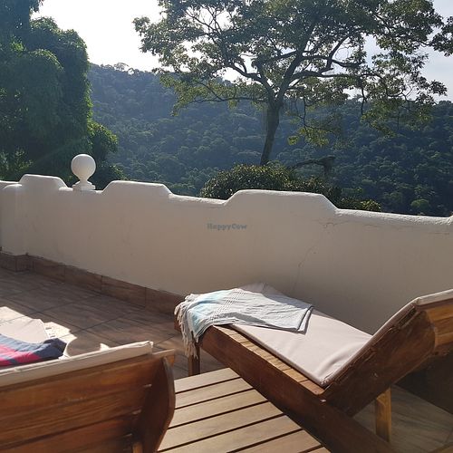 Your private terrace is immerged in nature, surrounded by tropical forest. It invited for naked sun bathing, bird watching it a glass wine during lull summer nights. at Soulrebel Rio in Rio De Janeiro