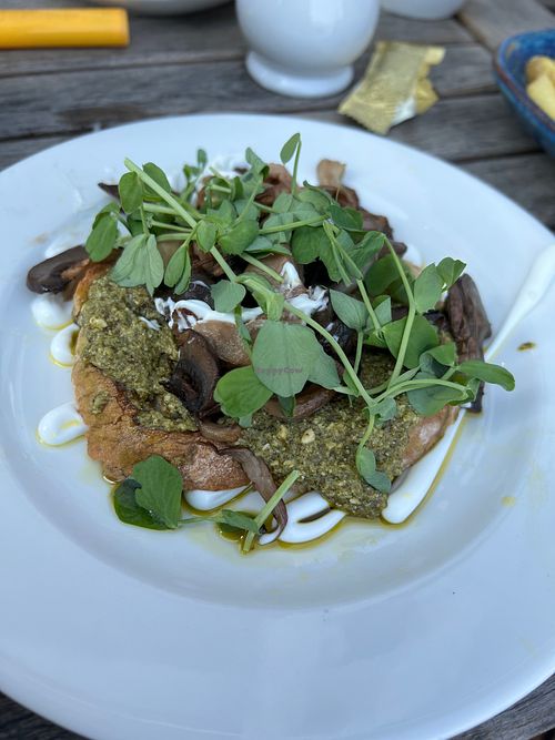 Forest mushrooms on toast with pea shoots and truffle Mayonnaise. Really lovely! at The Royal Albion in Broadstairs