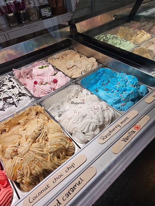  at Moo Moo Isbar - Nordhavn in Copenhagen