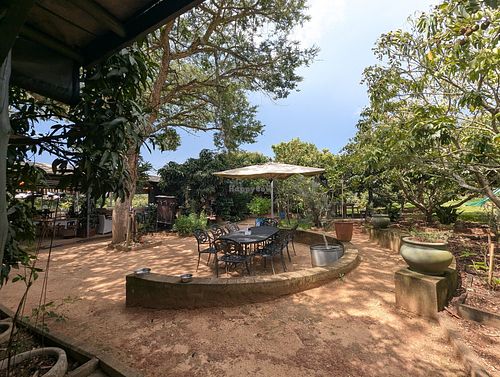 Outside at The Plantsman in White River