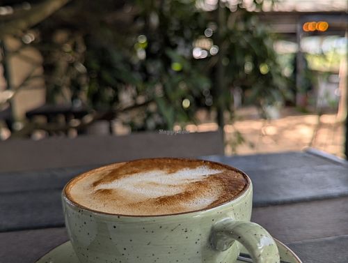 Oat flattie at The Plantsman in White River