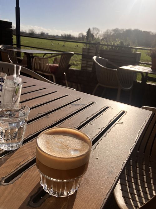Koffie met havermelk in de herfstzon  at 't Wapen van Kennemerland in Haarlem