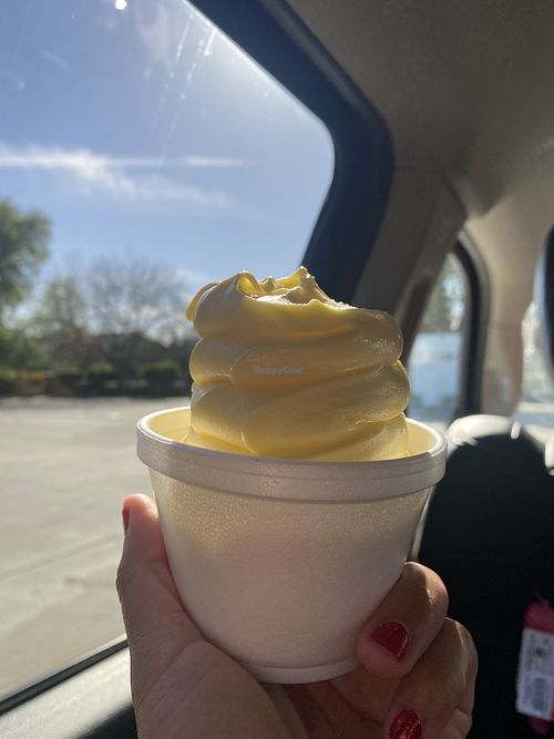 Vegan Pineapple Sorbet (absolutely COULDN’T wait) 😛  at Yogurt Mill in Modesto
