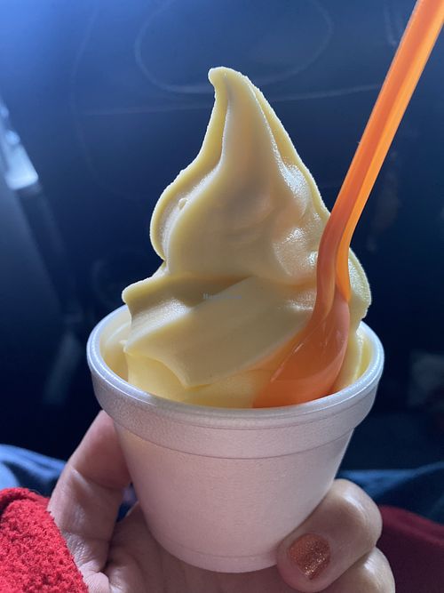 Lemon Sorbet | “taking us for ice creams in a blizzard…” 🤪  at Yogurt Mill in Modesto