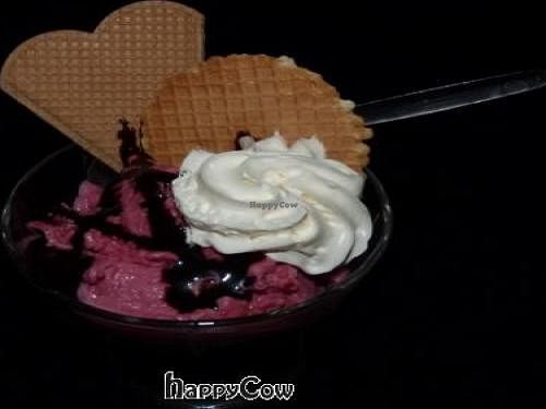 Raspberry ice-cream at Sfizy Veg in Berlin