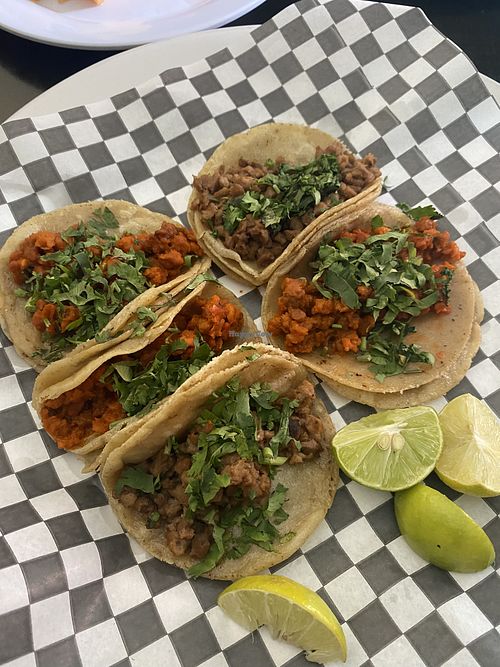 🤤 Tacos  at Restaurante Vegetariano Terra Nostra in Mexico City