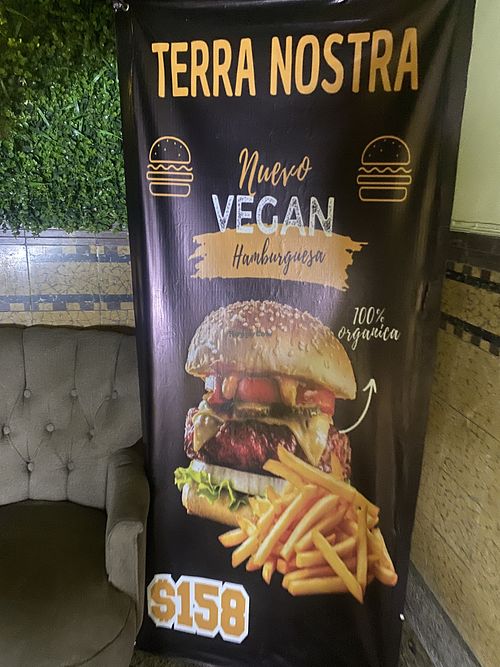 Ordered the Vegan Burger - Super Yummy Would Recommend  at Restaurante Vegetariano Terra Nostra in Mexico City
