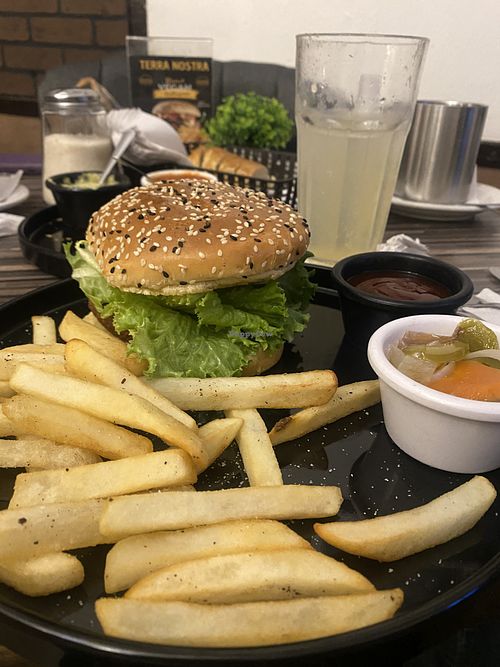 Vegan Burger (Sin Cebolla 🧅) y Lemonade Con Agua Mineral- Que Rico!  at Restaurante Vegetariano Terra Nostra in Mexico City